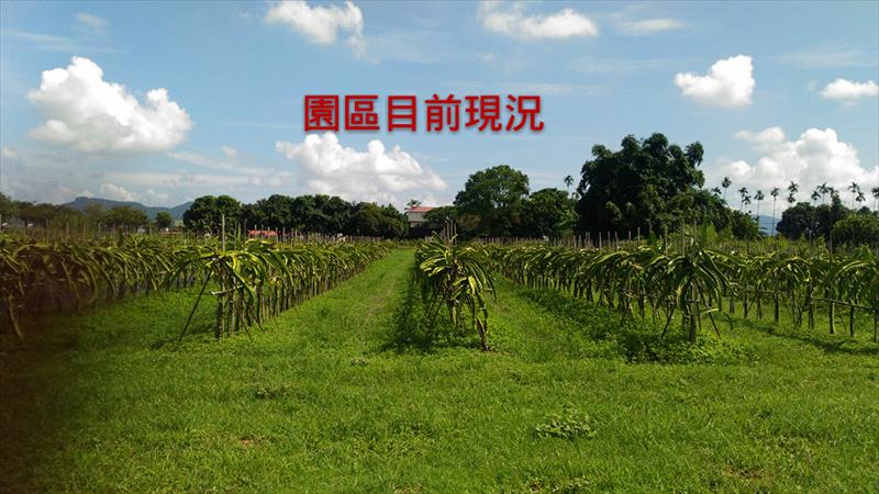 生產者圖片