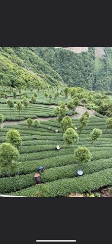 生產者圖片