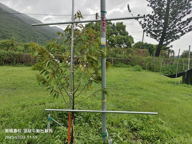 生產者圖片