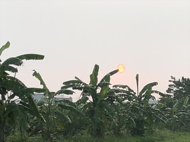 生產者圖片