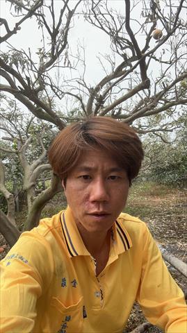 生產者圖片