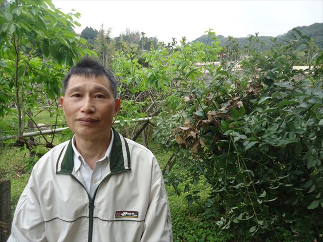 生產者圖片