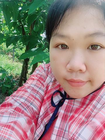 生產者圖片