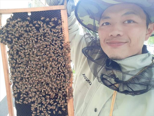 生產者圖片