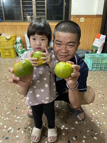 生產者圖片