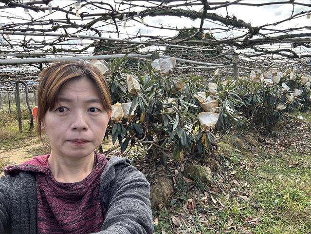 生產者圖片