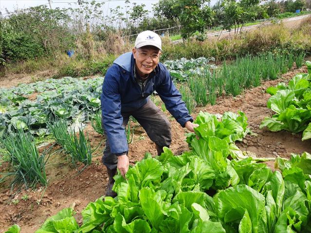 生產者圖片