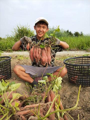 生產者圖片