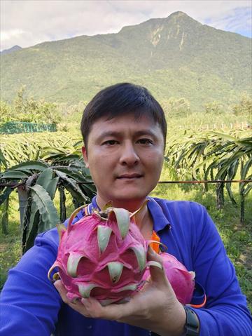 生產者圖片