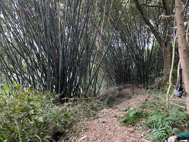 生產者圖片