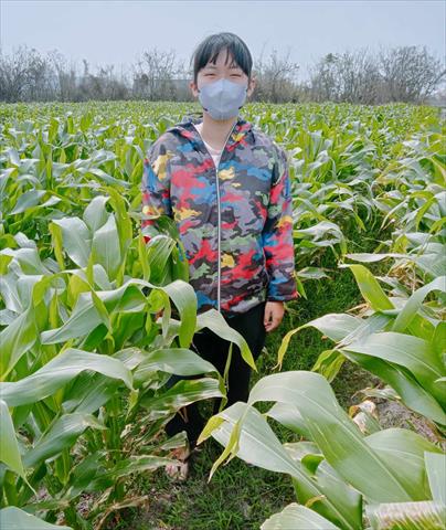 生產者圖片