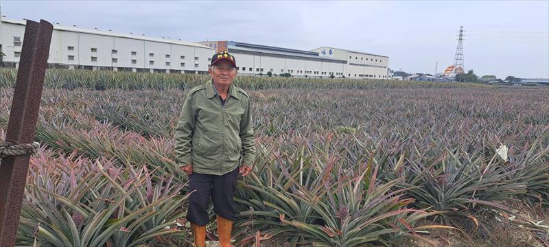 生產者圖片