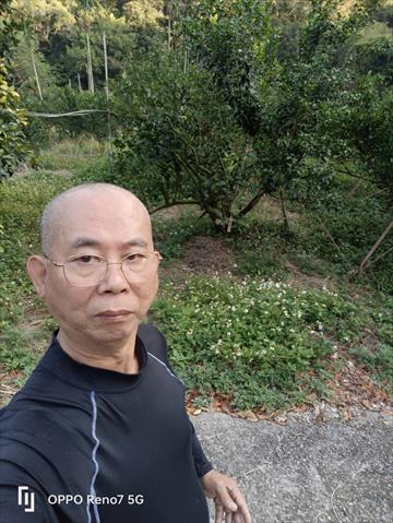 生產者圖片