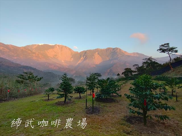 生產者圖片