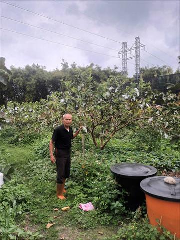 生產者圖片