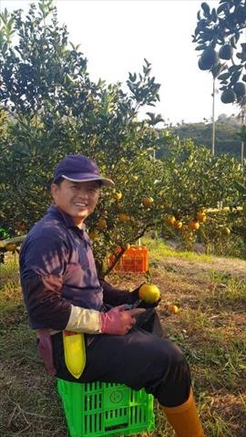 生產者圖片