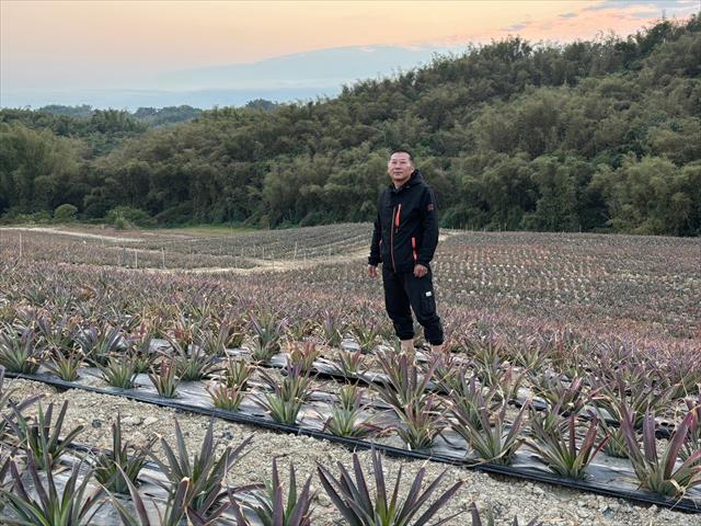 生產者圖片