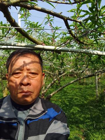 生產者圖片