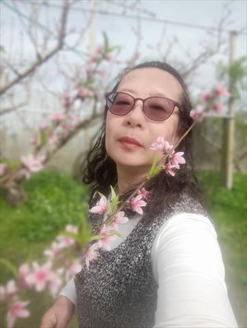 生產者圖片