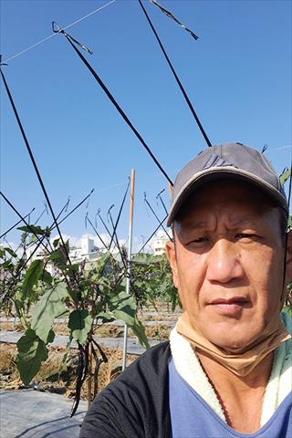 生產者圖片