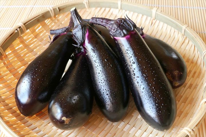 生產者圖片