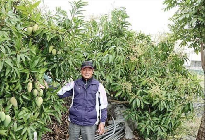 生產者圖片