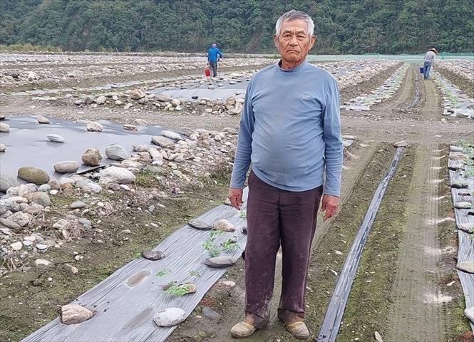 生產者圖片