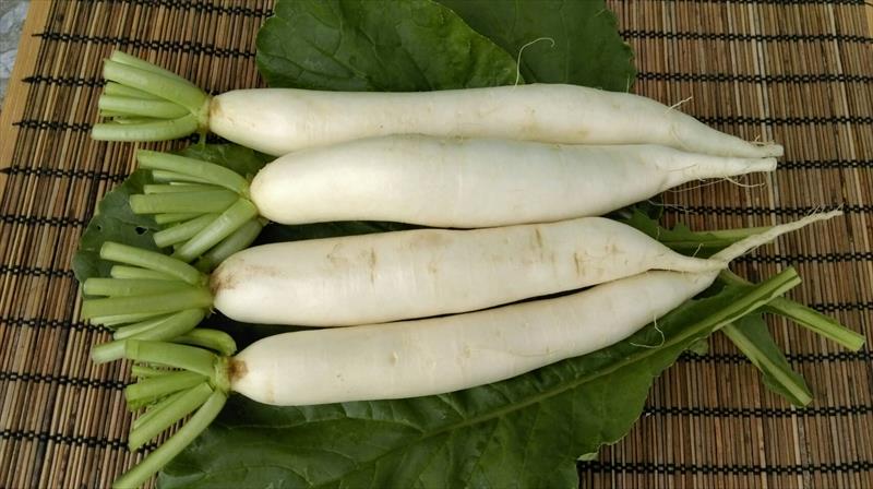 生產者圖片