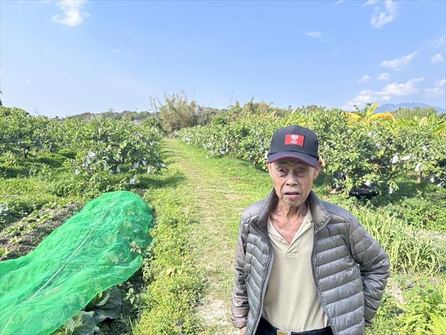 生產者圖片