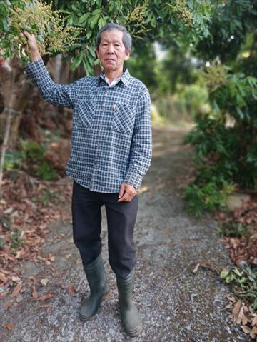 生產者圖片