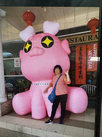生產者圖片