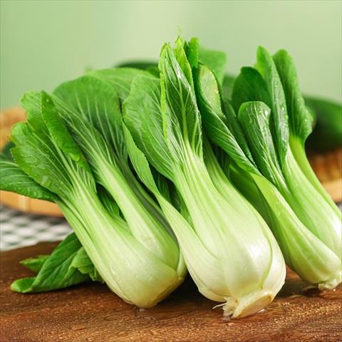 生產者圖片
