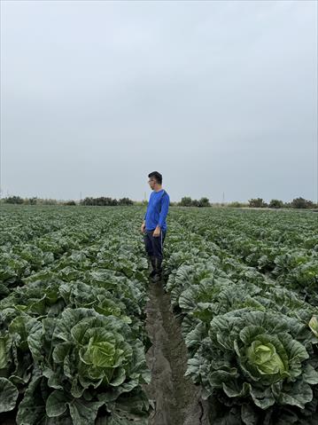 生產者圖片