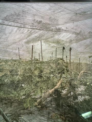生產者圖片