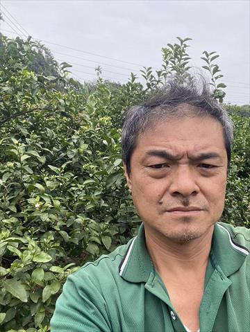生產者圖片
