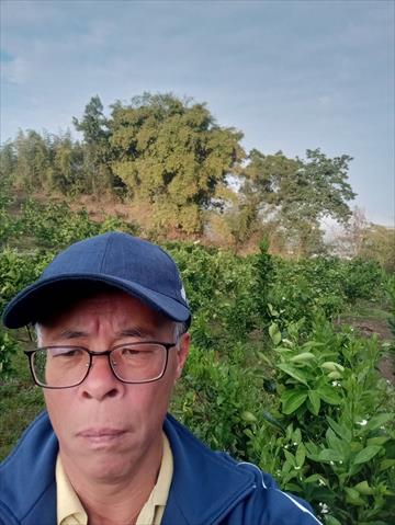 生產者圖片