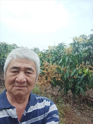 生產者圖片