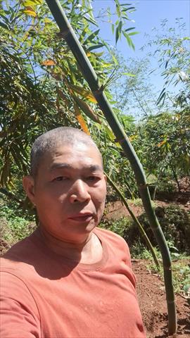 生產者圖片