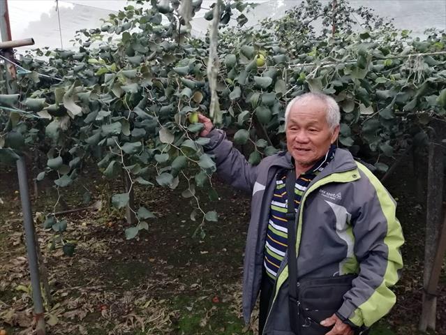 生產者圖片