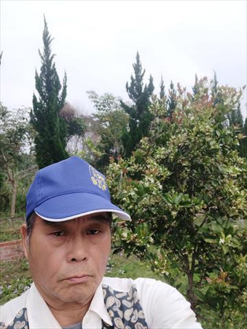 生產者圖片