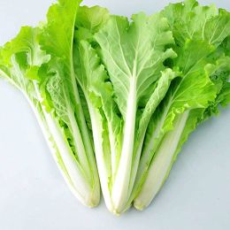生產者圖片
