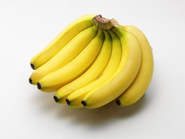 生產者圖片