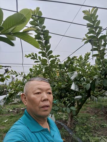 生產者圖片