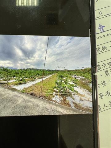 生產者圖片