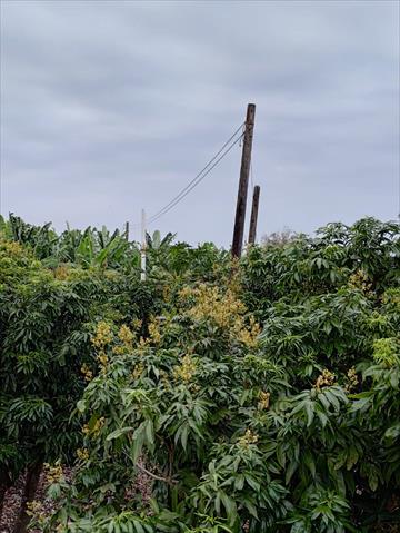 生產者圖片