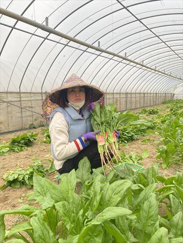 生產者圖片