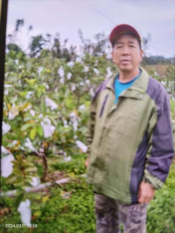 生產者圖片