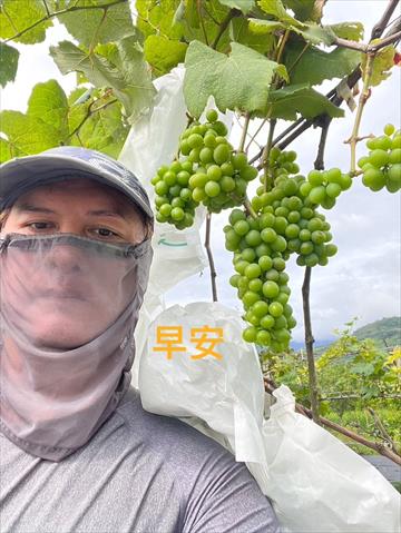 生產者圖片