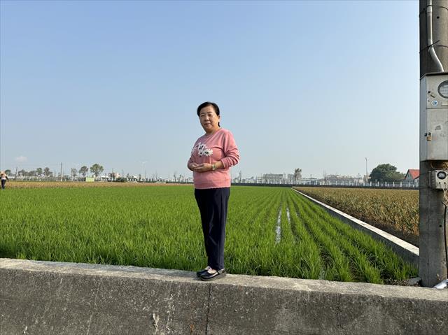 生產者圖片