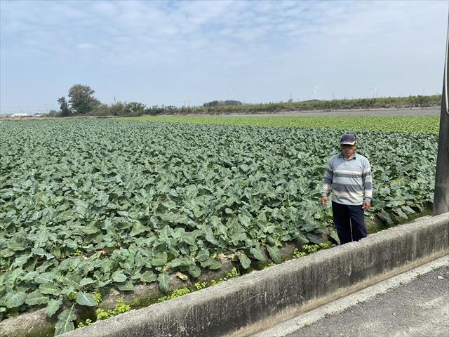 生產者圖片